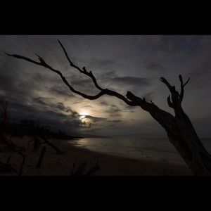 Meet your Posher, Renato